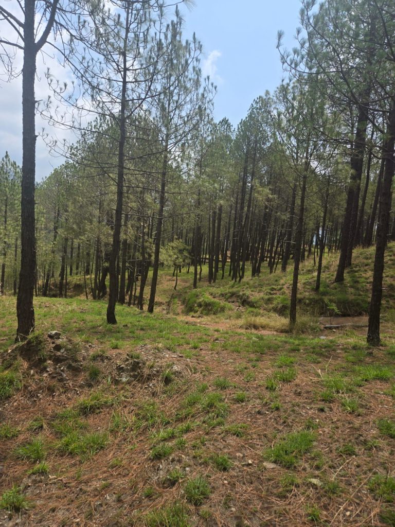 sunrise valley Lansdowne